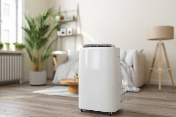 Best HVAC air duct cleaning  in Paradise Valley, AZ
